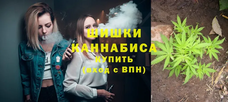 Каннабис OG Kush  Белогорск 